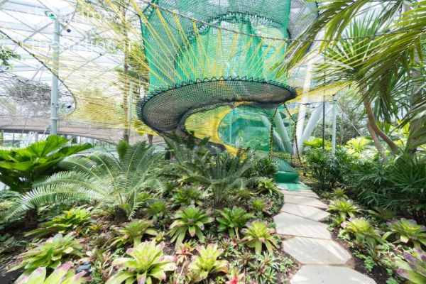زیباترین باغ ها - فرودگاه چانگی سنگاپور