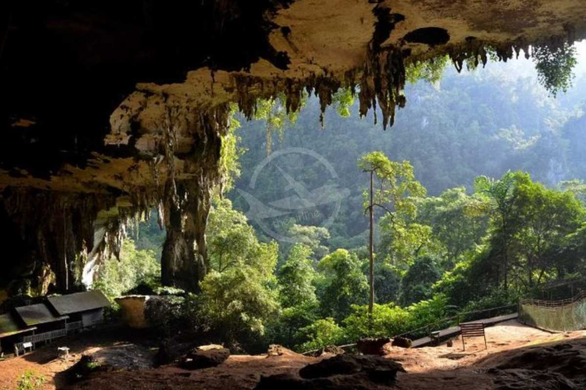 پارک های ملی در مالزی