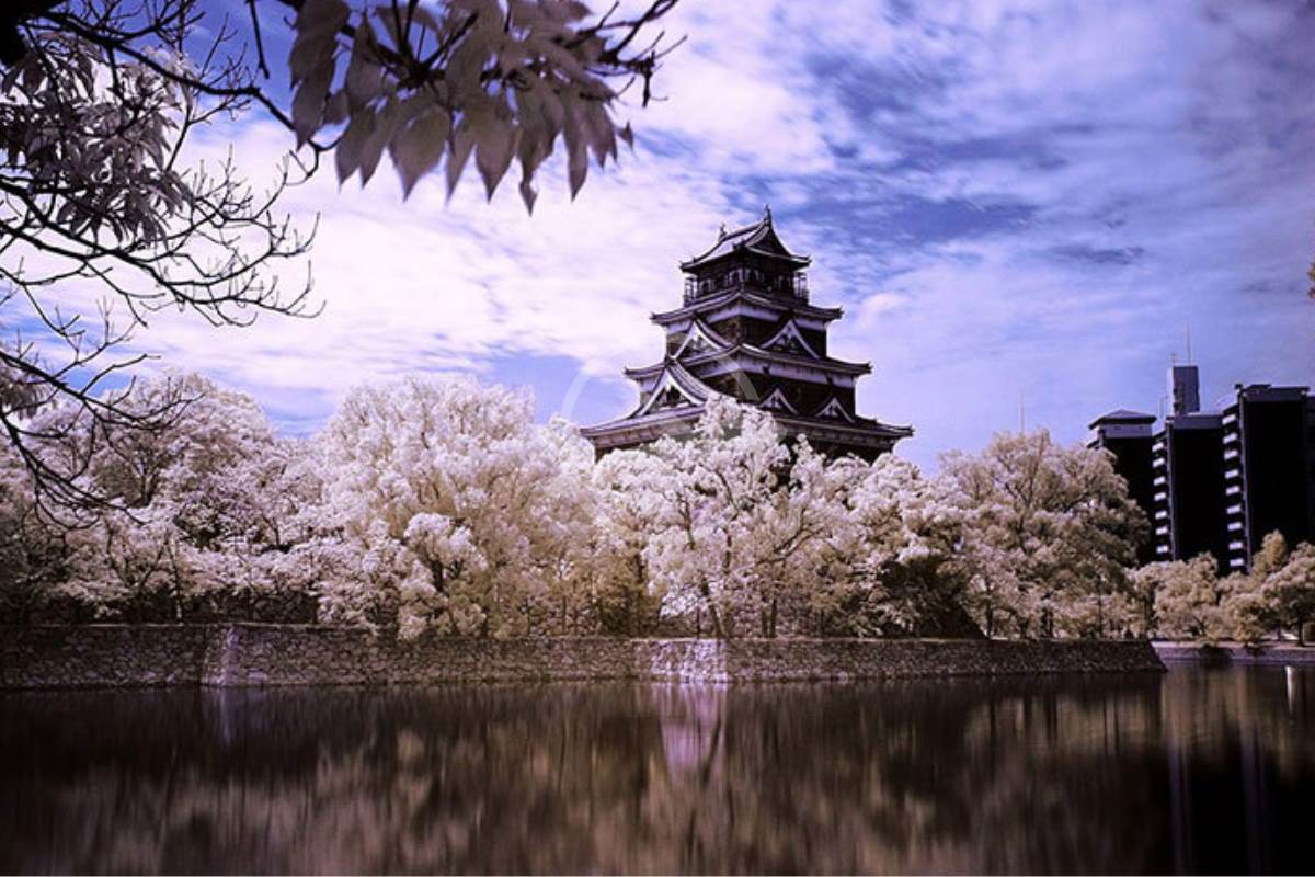 هفت قلعه دیدنی ژاپن برای بازدید
